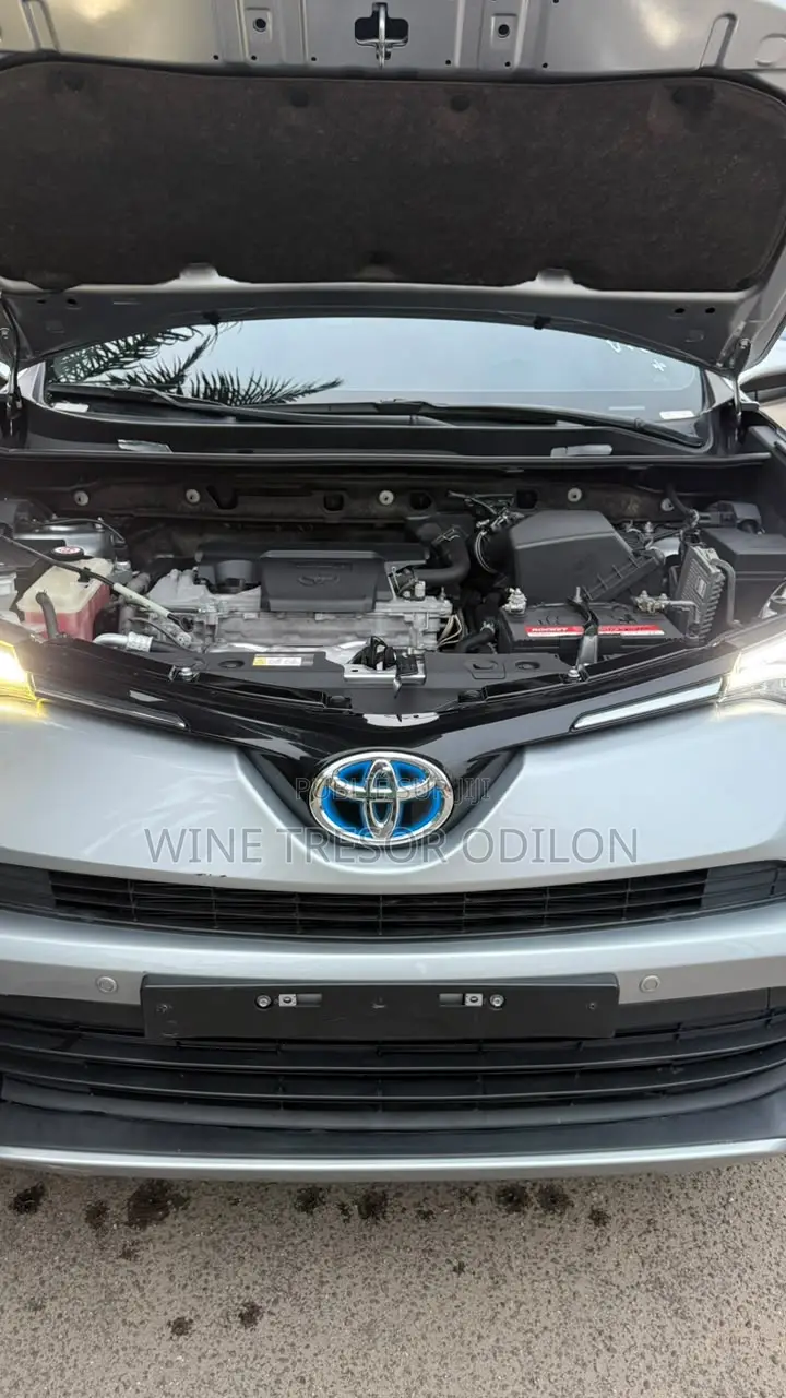 Toyota RAV4 Limited AWD 2019 Gris