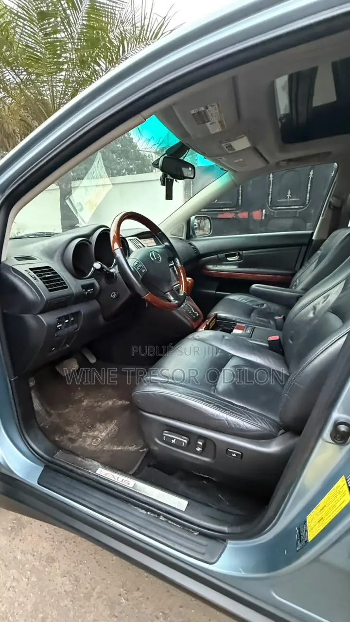 Lexus RX 350 2010 Bleu