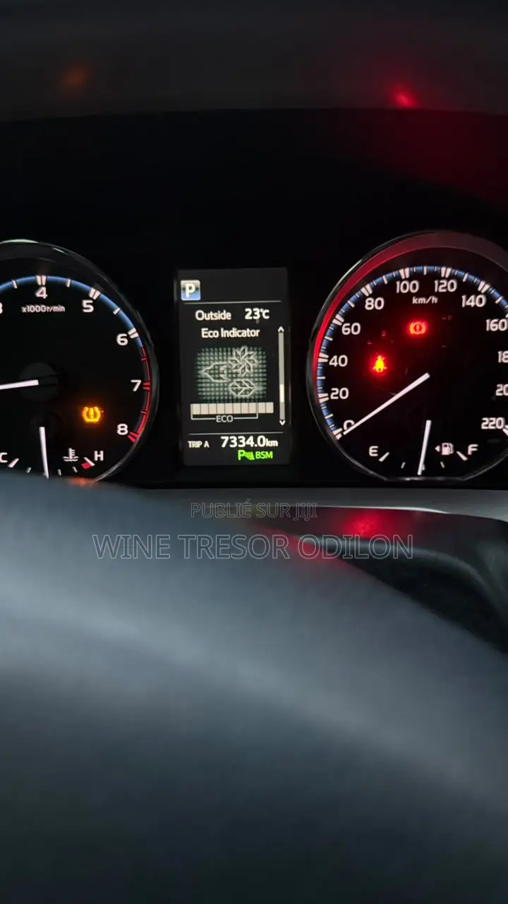 Toyota RAV4 Limited AWD 2019 Gris