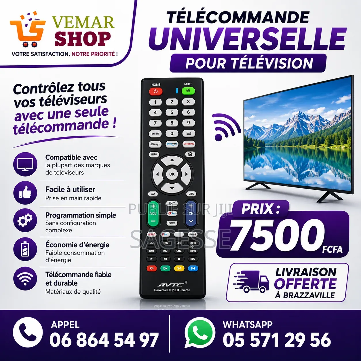 Télécommande Universelle Pour Télévision