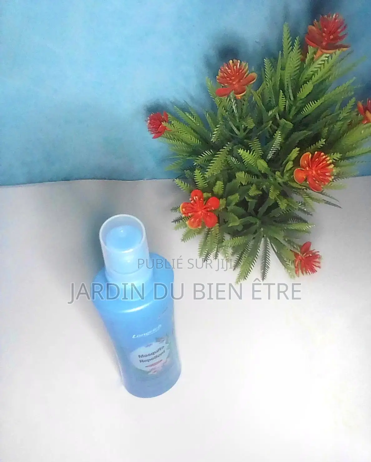 Moustiquaire Longrich – Protection Anti-Moustiques