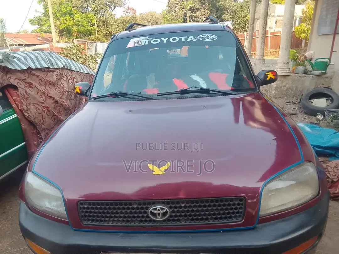Toyota RAV4 2010 Marron
