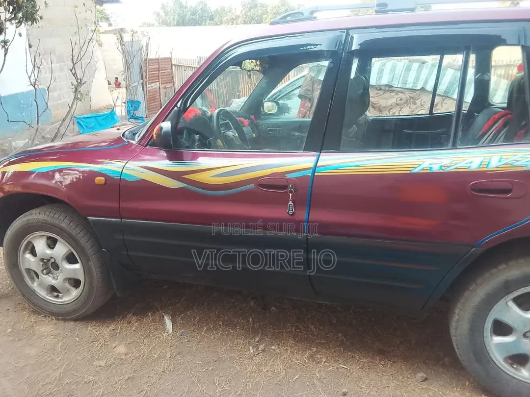 Toyota RAV4 2010 Marron