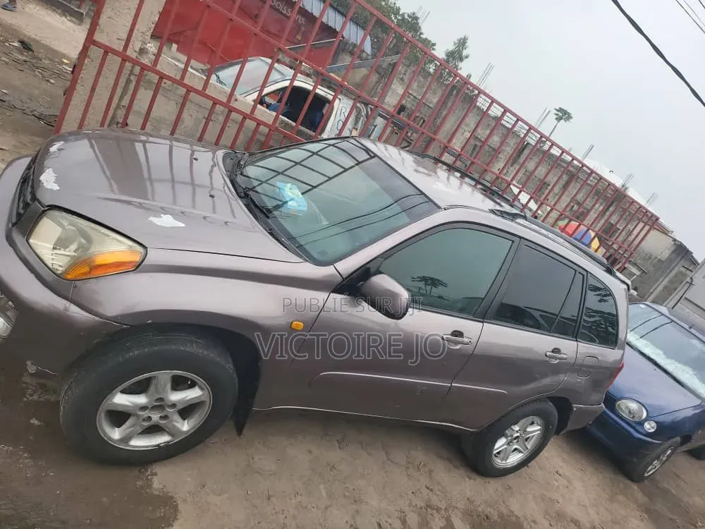 Toyota RAV4 2007 Marron