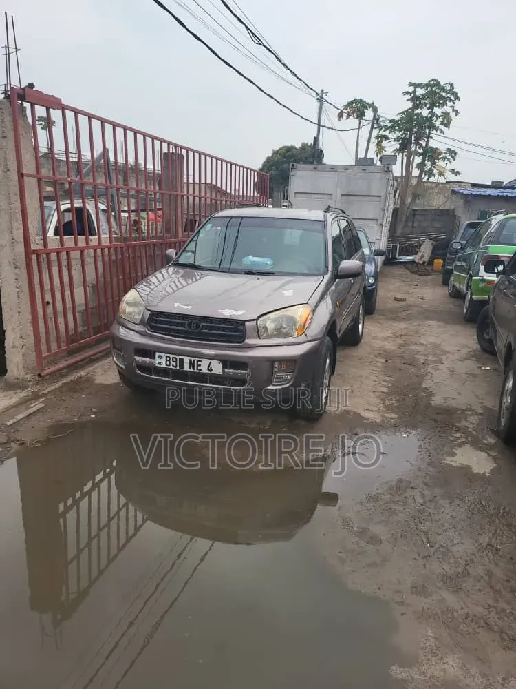 Toyota RAV4 2007 Marron