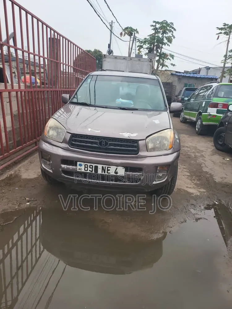 Toyota RAV4 2007 Marron