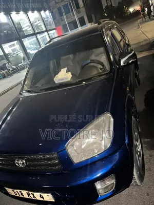 Toyota RAV4 2008 Bleu
