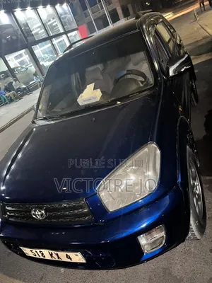 Toyota RAV4 2008 Bleu