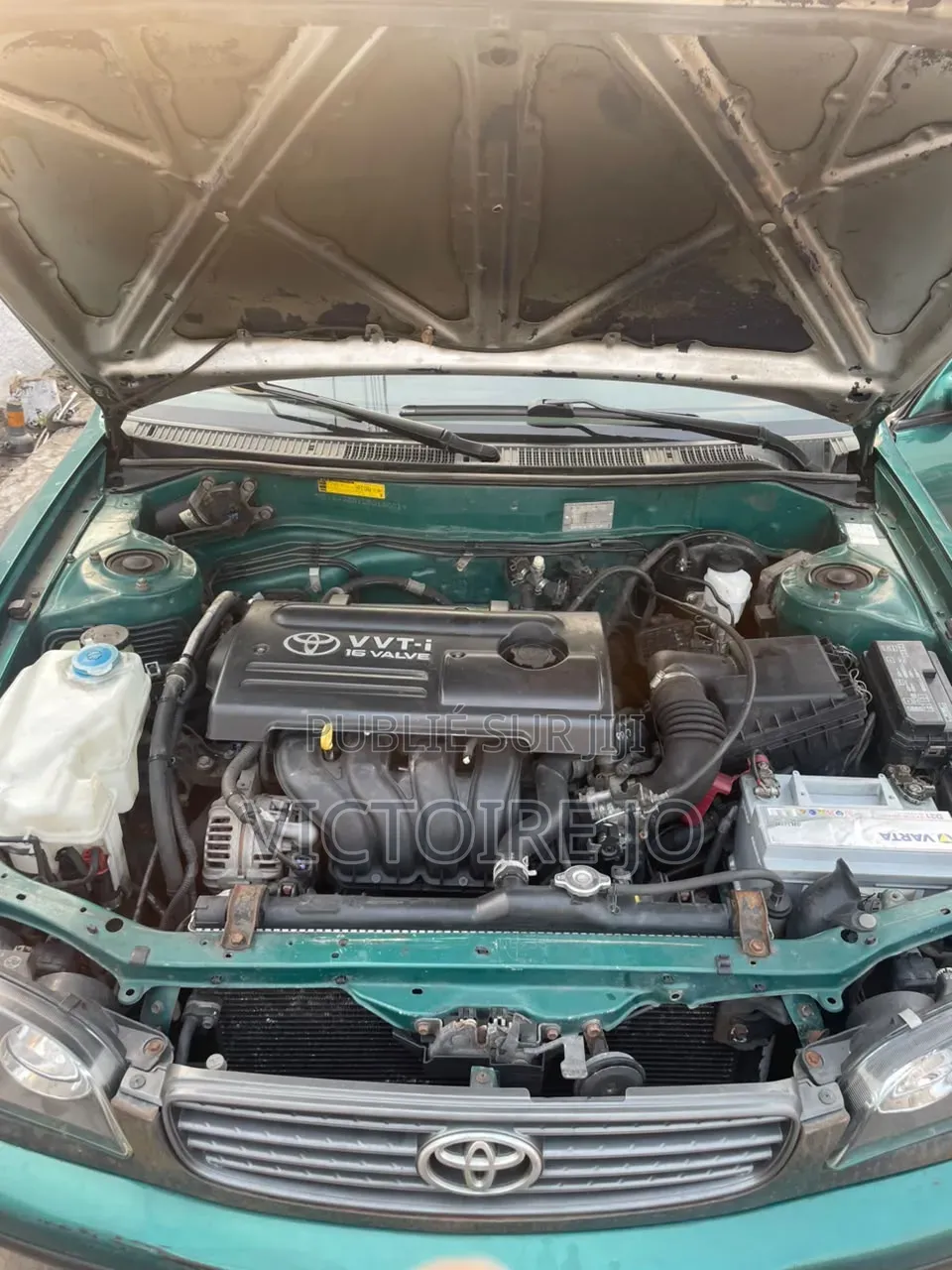 Toyota Corolla 2022 Vert