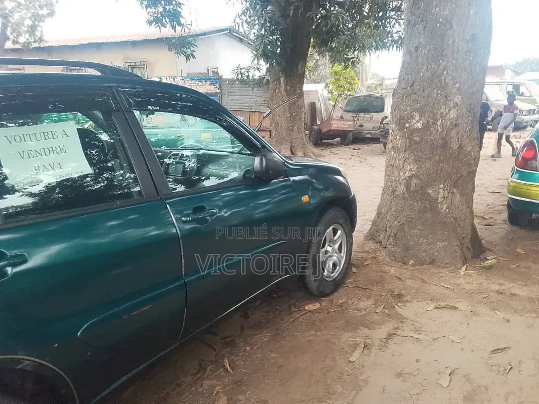 Toyota RAV4 2008 Vert