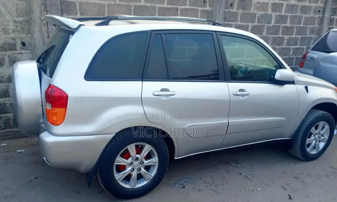 Toyota RAV4 2010 Gris