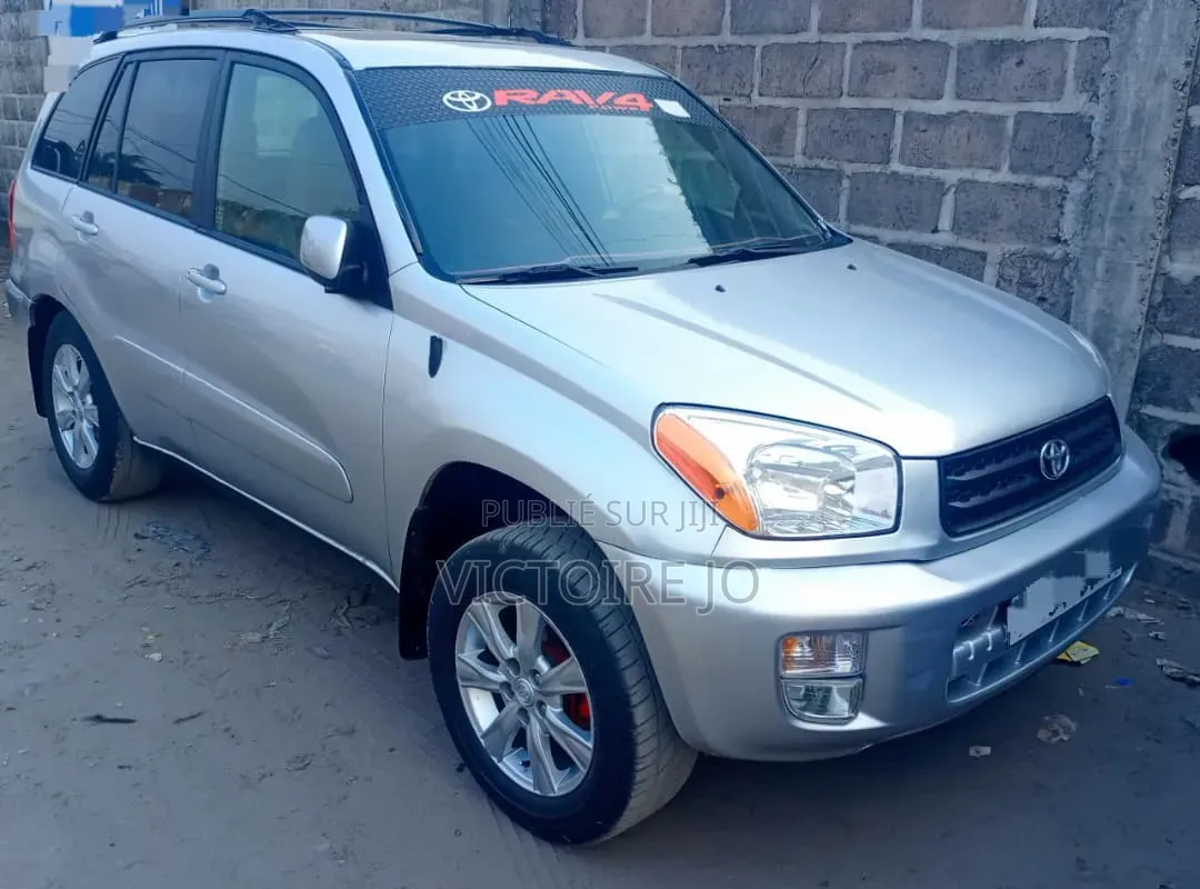 Toyota RAV4 2010 Gris