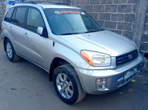 Toyota RAV4 2010 Gris