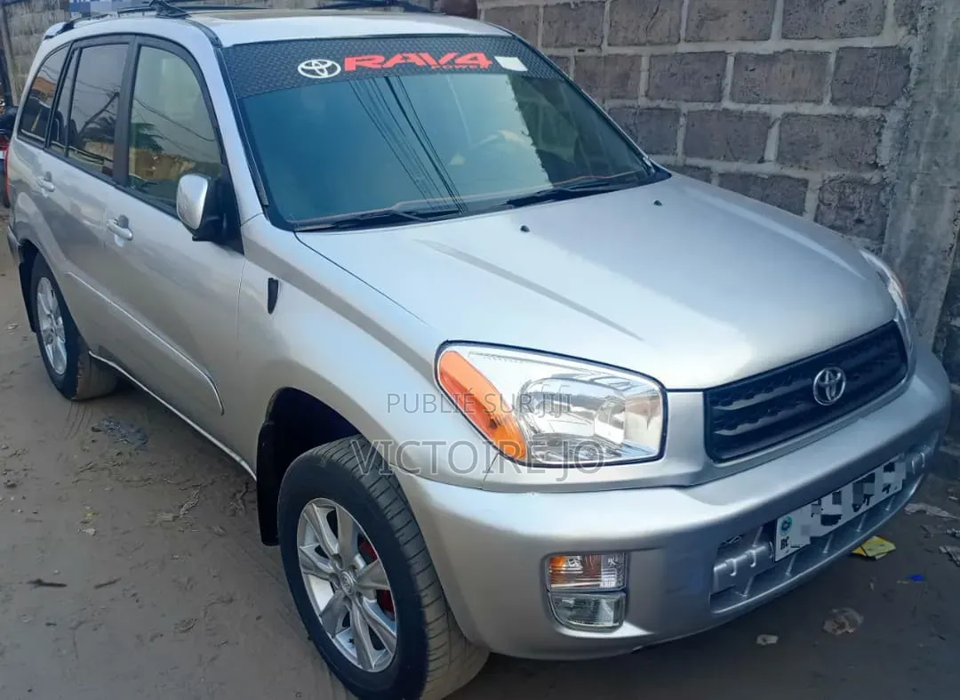 Toyota RAV4 2010 Gris