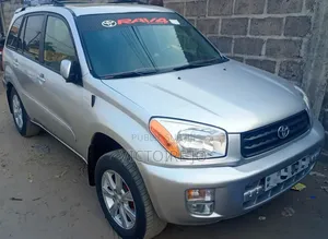 Toyota RAV4 2010 Gris