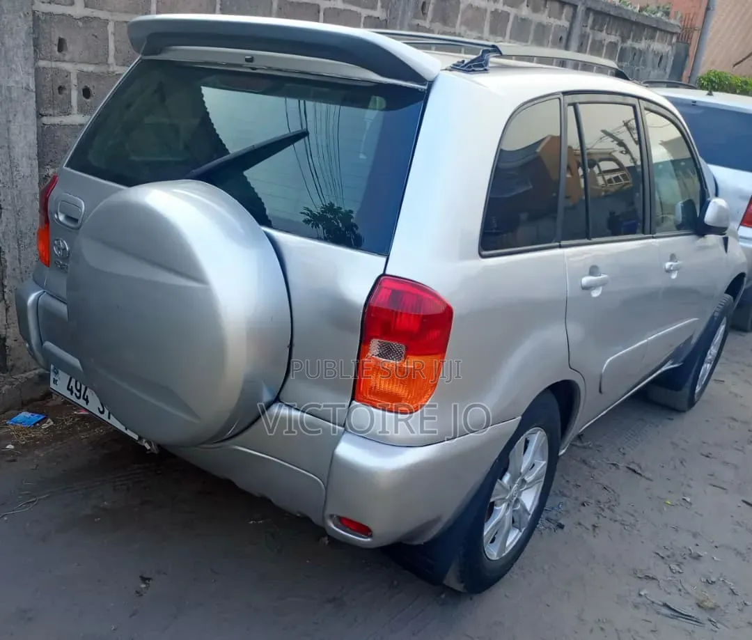 Toyota RAV4 2010 Gris