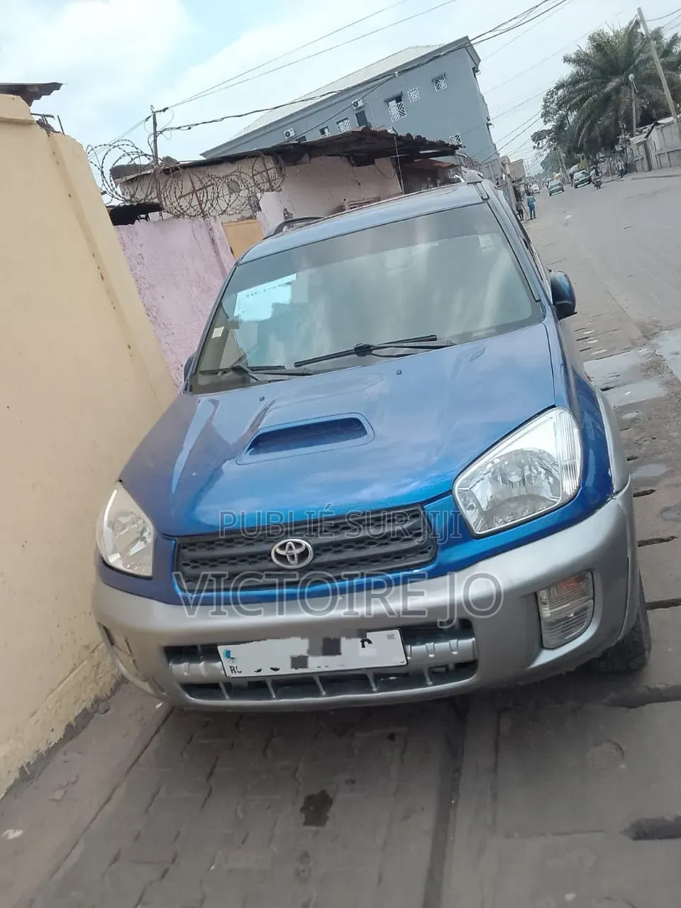 Toyota RAV4 2009 Bleu