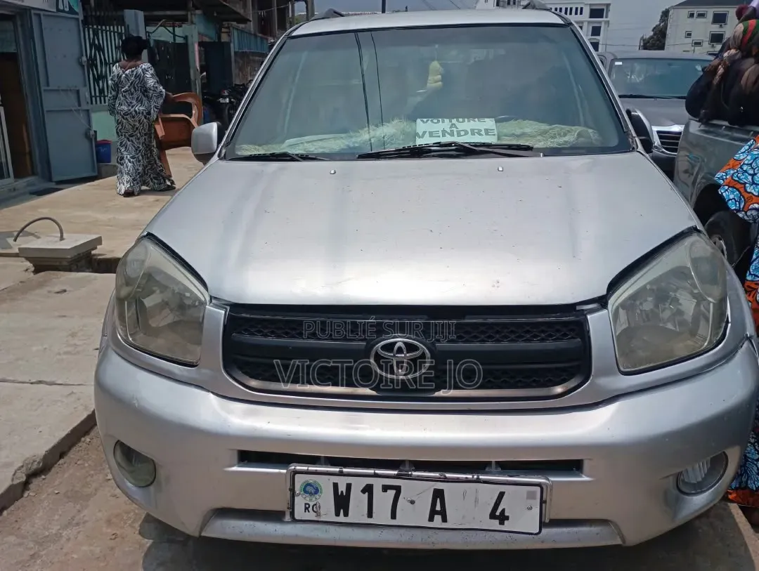 Toyota RAV4 2008 Gris