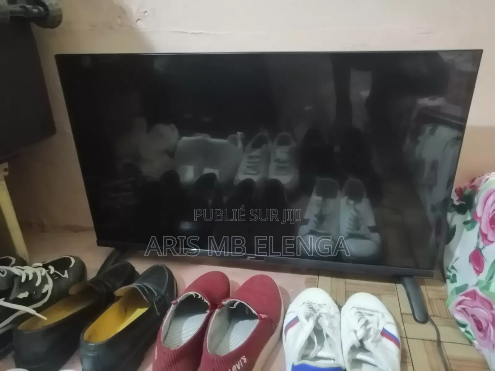Télévision StarSat32 Pousse