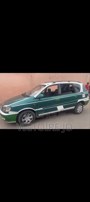 Toyota Picnic 2018 Vert