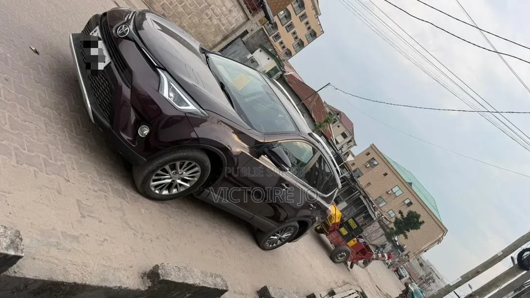 Toyota RAV4 2016 Marron