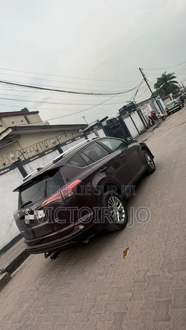 Toyota RAV4 2016 Marron