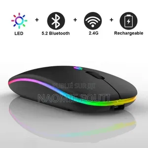 Souris ergonomiques sans fil 2,4G BT USB rechargeable
