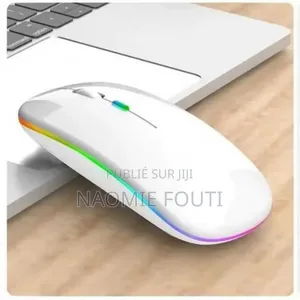 Souris ergonomiques sans fil 2,4G BT USB rechargeable