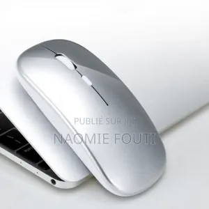 Souris ergonomiques sans fil 2,4G BT USB rechargeable
