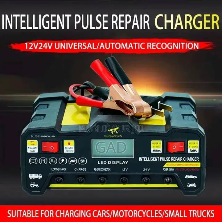 Chargeur De Batterie 12/24v