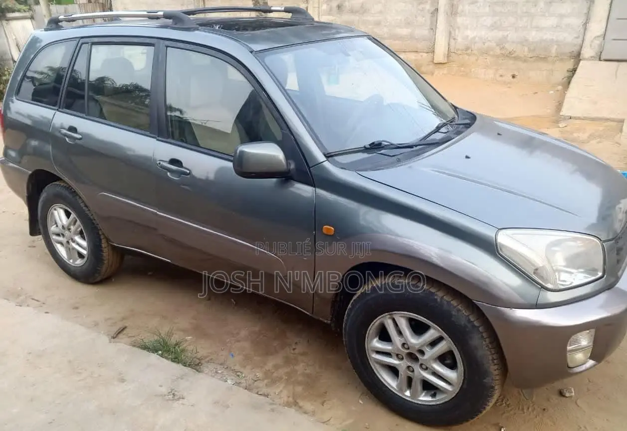 Toyota RAV4 2005 Gris