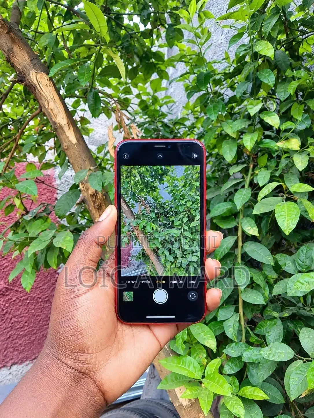 Nouveau Apple iPhone XR 64 GB Argenté