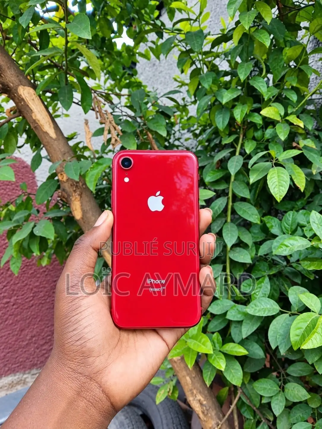 Nouveau Apple iPhone XR 64 GB Argenté