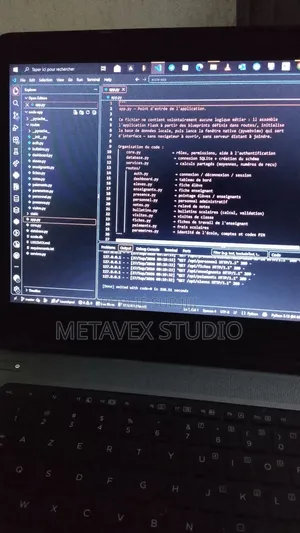 Ingénieur Logiciel & Consultant en SI