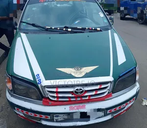 Toyota Picnic 2018 Vert