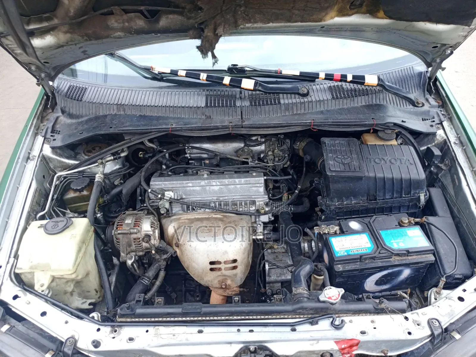 Toyota Picnic 2018 Vert
