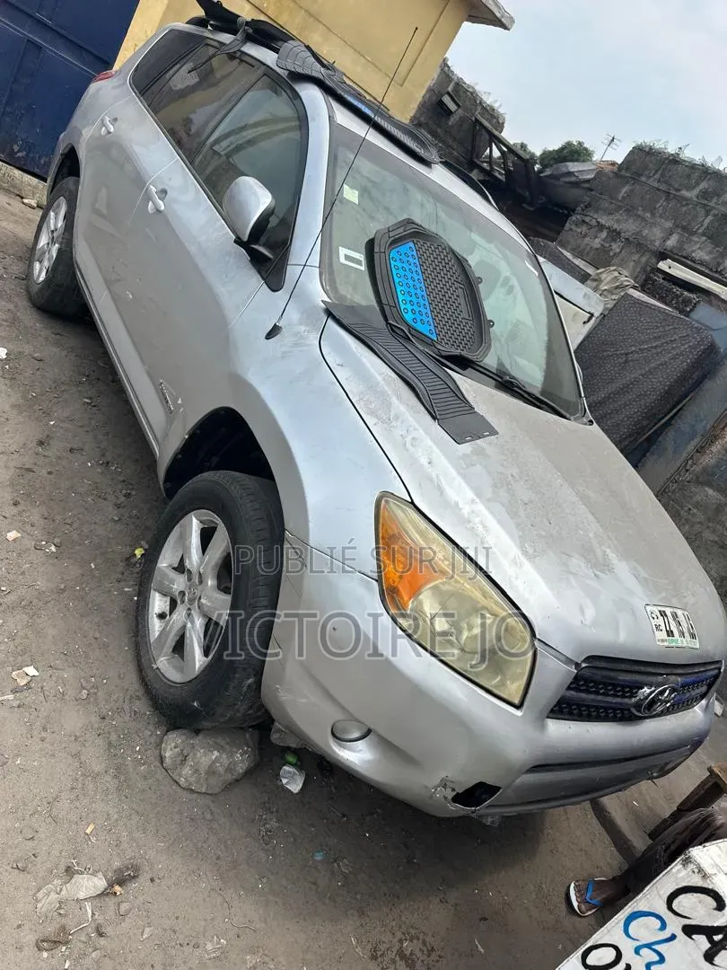 Toyota RAV4 2017 Gris