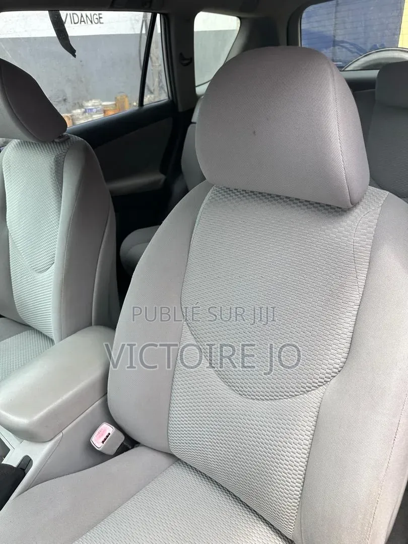 Toyota RAV4 2017 Gris