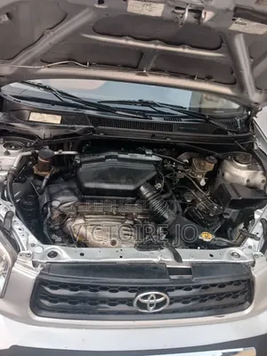 Toyota RAV4 2016 Gris