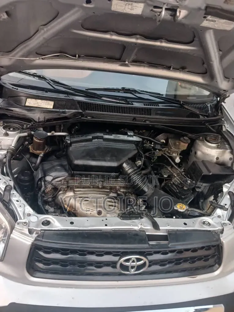Toyota RAV4 2016 Gris