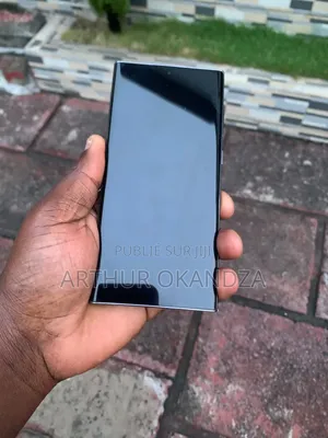 Samsung Galaxy S22 Ultra 256 GB Argenté