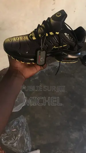 Une Paire De TN Neuf Pour Des Jeunes Sérieux