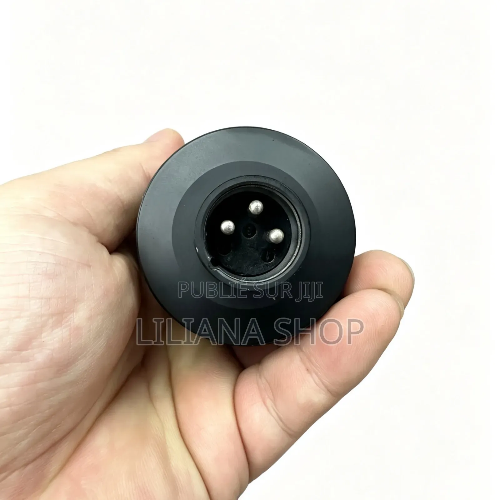 Micro Phantom
