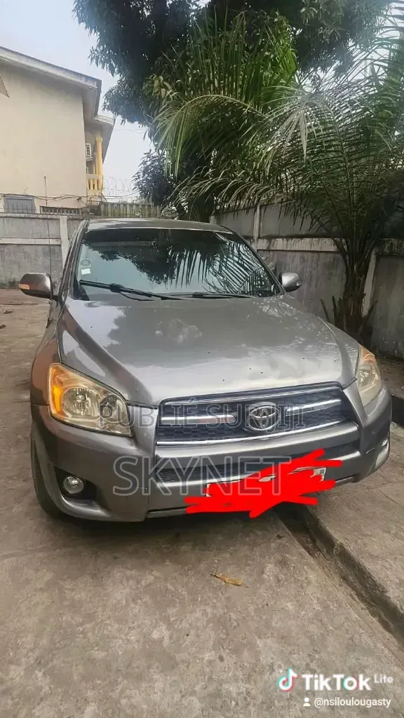 Toyota RAV4 2012 Gris