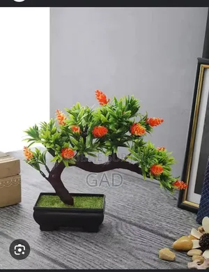 Décoration De Bureau