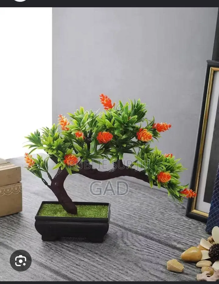 Décoration De Bureau