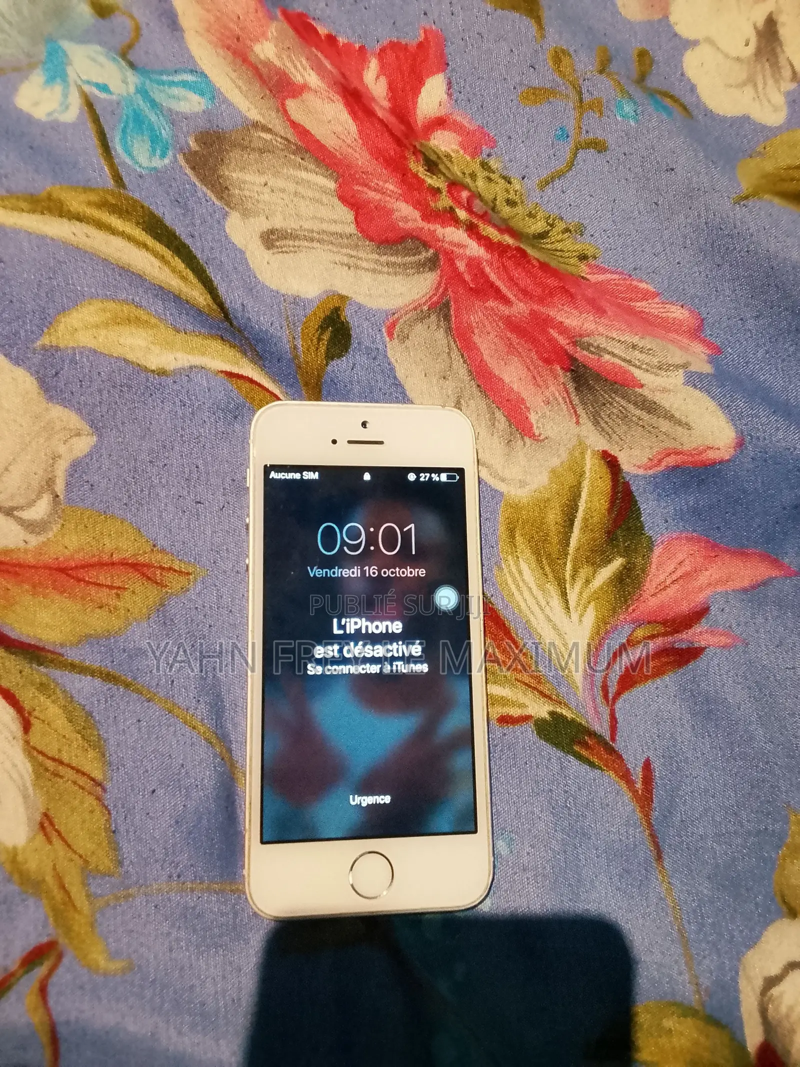 Apple iPhone 5s 64 GB Gris