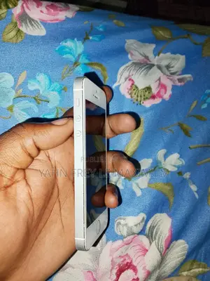Apple iPhone 5s 64 GB Gris