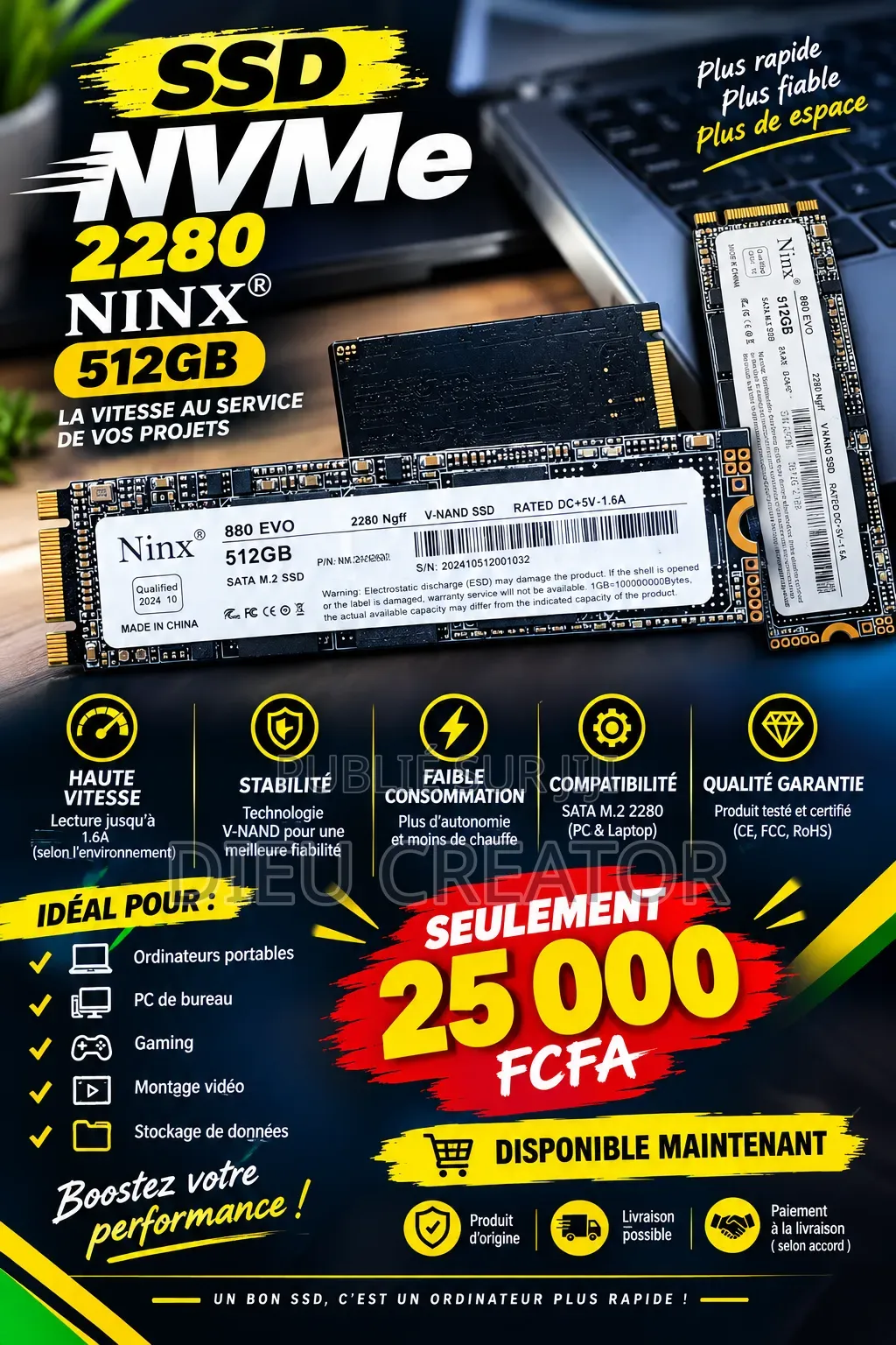 SSD Ninx512go