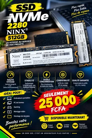 SSD Ninx512go
